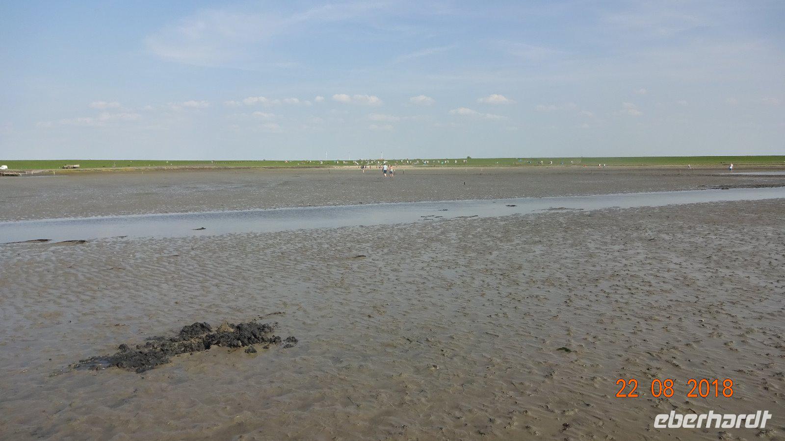 Tag Nordfriesland Wattwanderung Nordstrand &ndash; &copy; Nadja Klinkhardt (Eberhardt TRAVEL)