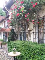 Hinterhof Flensburg