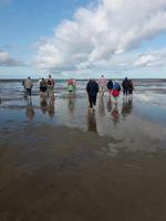 Wattwanderung &ndash; &copy; Ulrike Blenke (Eberhardt TRAVEL)