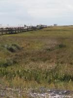 Strandsteg St. Peter Ording &ndash; &copy; Ulrike Blenke (Eberhardt TRAVEL)