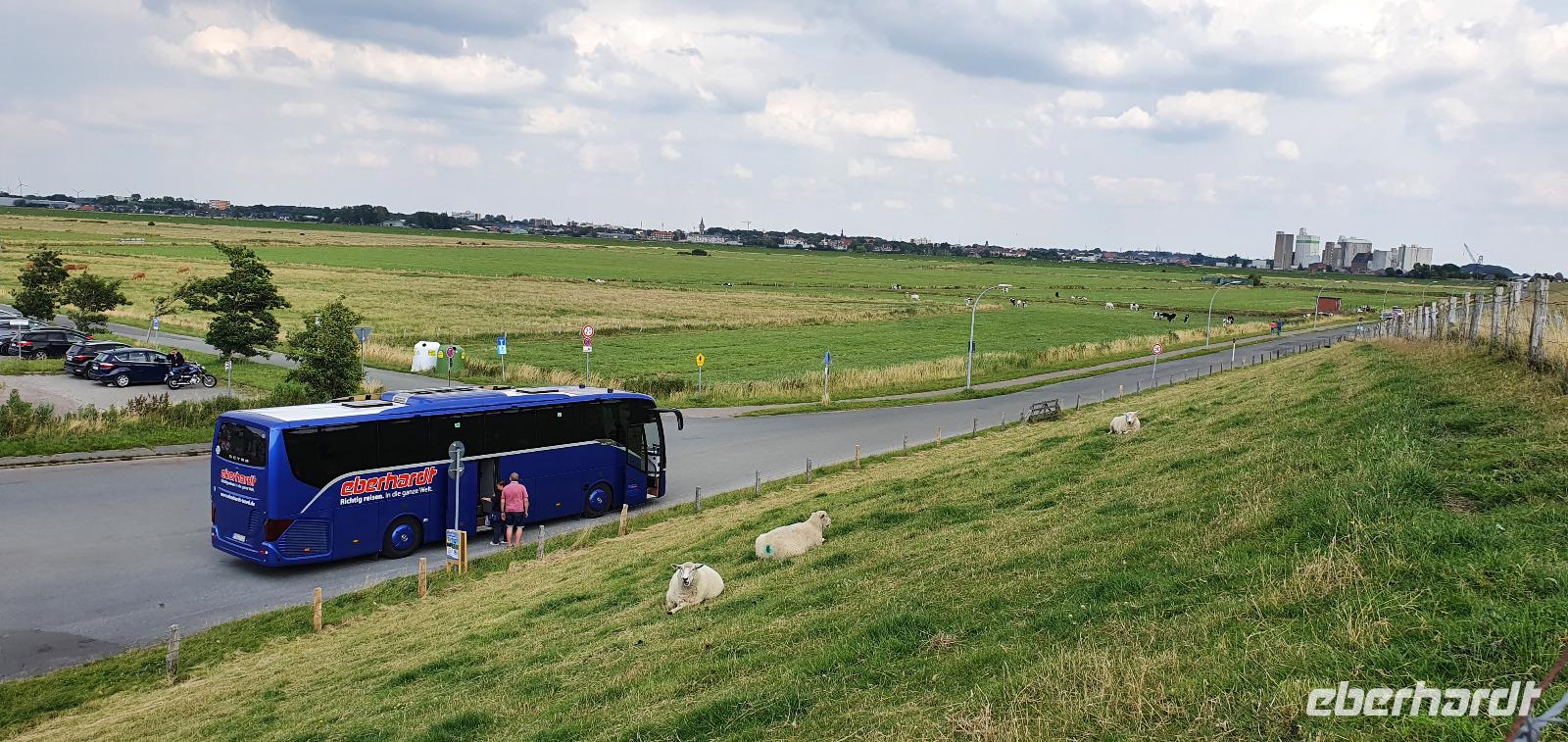 ein Pharisäer zum Abschied am Dockkoog in Husum &ndash; &copy; Marlies Thrum (Eberhardt TRAVEL)