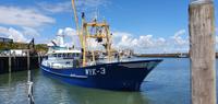 Muschelschiff &ndash; &copy; Marlies Thrum (Eberhardt TRAVEL)