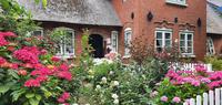 Hallig Hooge &ndash; &copy; Marlies Thrum (Eberhardt TRAVEL)