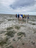 Rundreise Nordfriesland - Wattwanderung in Nordstrand &ndash; &copy; Franziska Bergmann (Eberhardt TRAVEL)