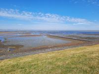 Rundreise Nordfriesland - Inselrundfahrt auf der Insel Föhr &ndash; &copy; Franziska Bergmann (Eberhardt TRAVEL)