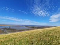 Rundreise Nordfriesland - Inselrundfahrt auf der Insel Föhr &ndash; &copy; Franziska Bergmann (Eberhardt TRAVEL)