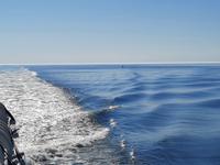 Rundreise Nordfriesland - Helgoland - Rückfahrt nach Büsum &ndash; &copy; Franziska Bergmann (Eberhardt TRAVEL)
