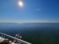 Rundreise Nordfriesland - Fährüberfahrt zur Hallig Hooge &ndash; &copy; Franziska Bergmann (Eberhardt TRAVEL)