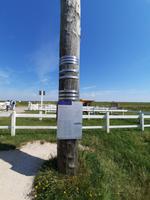 Rundreise Nordfriesland - Hallig Hooge &ndash; &copy; Franziska Bergmann (Eberhardt TRAVEL)
