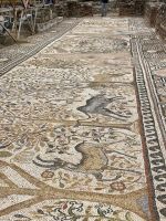 Mosaikboden in Herakleia Lyncestis &ndash; &copy; Elke Knappe (Eberhardt TRAVEL)