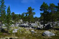 098 Femundsmarka &ndash; &copy; Konrad Füssel (Eberhardt TRAVEL)