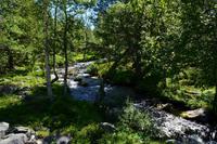099 Femundsmarka &ndash; &copy; Konrad Füssel (Eberhardt TRAVEL)