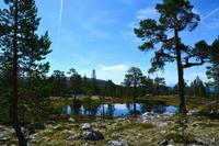 103 Femundsmarka &ndash; &copy; Konrad Füssel (Eberhardt TRAVEL)