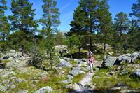108 Femundsmarka &ndash; &copy; Konrad Füssel (Eberhardt TRAVEL)