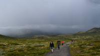 141 Dovrefjell &ndash; &copy; Konrad Füssel (Eberhardt TRAVEL)