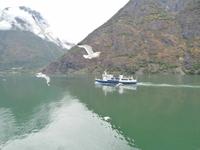 unterwegs im Auerlandsfjord &ndash; &copy; Ingrid Langer (Eberhardt TRAVEL)