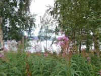 See Köderen &ndash; &copy; Ingrid Langer (Eberhardt TRAVEL)