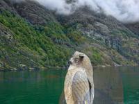 Naeroyfjord &ndash; &copy; Sabine Letzybyll (Eberhardt TRAVEL)