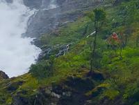 Kjosfossen Flambahn Fee &ndash; &copy; Sabine Letzybyll (Eberhardt TRAVEL)