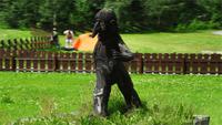Troll &ndash; &copy; Martin Büchner (Eberhardt TRAVEL)