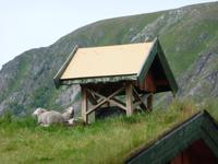 Lofoten &ndash; &copy; Konrad Füssel (Eberhardt TRAVEL)