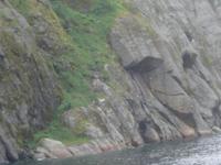 Troll im Trollfjord