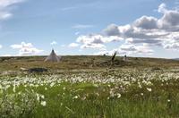 Hardangervidda &ndash; &copy; Katrin Deutschbein (Eberhardt TRAVEL)