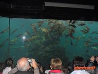 Atlantikpark in Alesund &ndash; &copy; Katrin Deutschbein (Eberhardt TRAVEL)