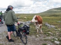 Meet the locals - Mjølkevegen, Valdres &ndash; &copy; Anna Stiebing (Eberhardt TRAVEL)