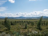Radtour Mjølkevegen, Valdres &ndash; &copy; Anna Stiebing (Eberhardt TRAVEL)