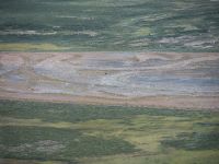 EIN Moschusochse &ndash; &copy; Anna Stiebing (Eberhardt TRAVEL)