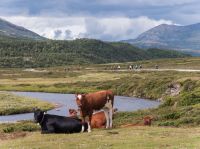 Grimsdalen mit dem E-Bike &ndash; &copy; Anna Stiebing (Eberhardt TRAVEL)