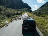Stau auf Norwegisch &ndash; &copy; Anna Stiebing (Eberhardt TRAVEL)