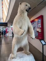 Fjaerland Gletschermuseum &ndash; &copy; Anna Stiebing (Eberhardt TRAVEL)