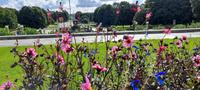 Vigelandpark   &ndash; &copy; Ingrid Langer (Eberhardt TRAVEL)