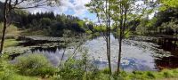 See auf dem Floyen, Wandergebiet &ndash; &copy; Ingrid Langer (Eberhardt TRAVEL)