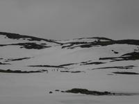 Sognefjell &ndash; &copy; Ingrid Langer (Eberhardt TRAVEL)