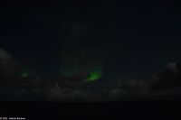 Polarlicht zwischen Berlevåg und Båtsfjord in der Barentssee &ndash; &copy; Martin Büchner (Eberhardt TRAVEL)