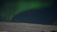 Polarlicht zwischen Berlevåg und Båtsfjord in der Barentssee &ndash; &copy; Martin Büchner (Eberhardt TRAVEL)