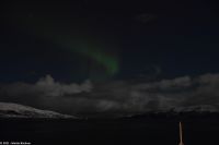 Polarlicht zwischen Berlevåg und Båtsfjord in der Barentssee &ndash; &copy; Martin Büchner (Eberhardt TRAVEL)