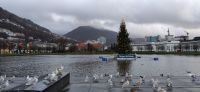02.01.2022 13 Bergen, Lille Lungegårdsvannet und Berg Ulriken &ndash; &copy; Konrad Füssel (Eberhardt TRAVEL)