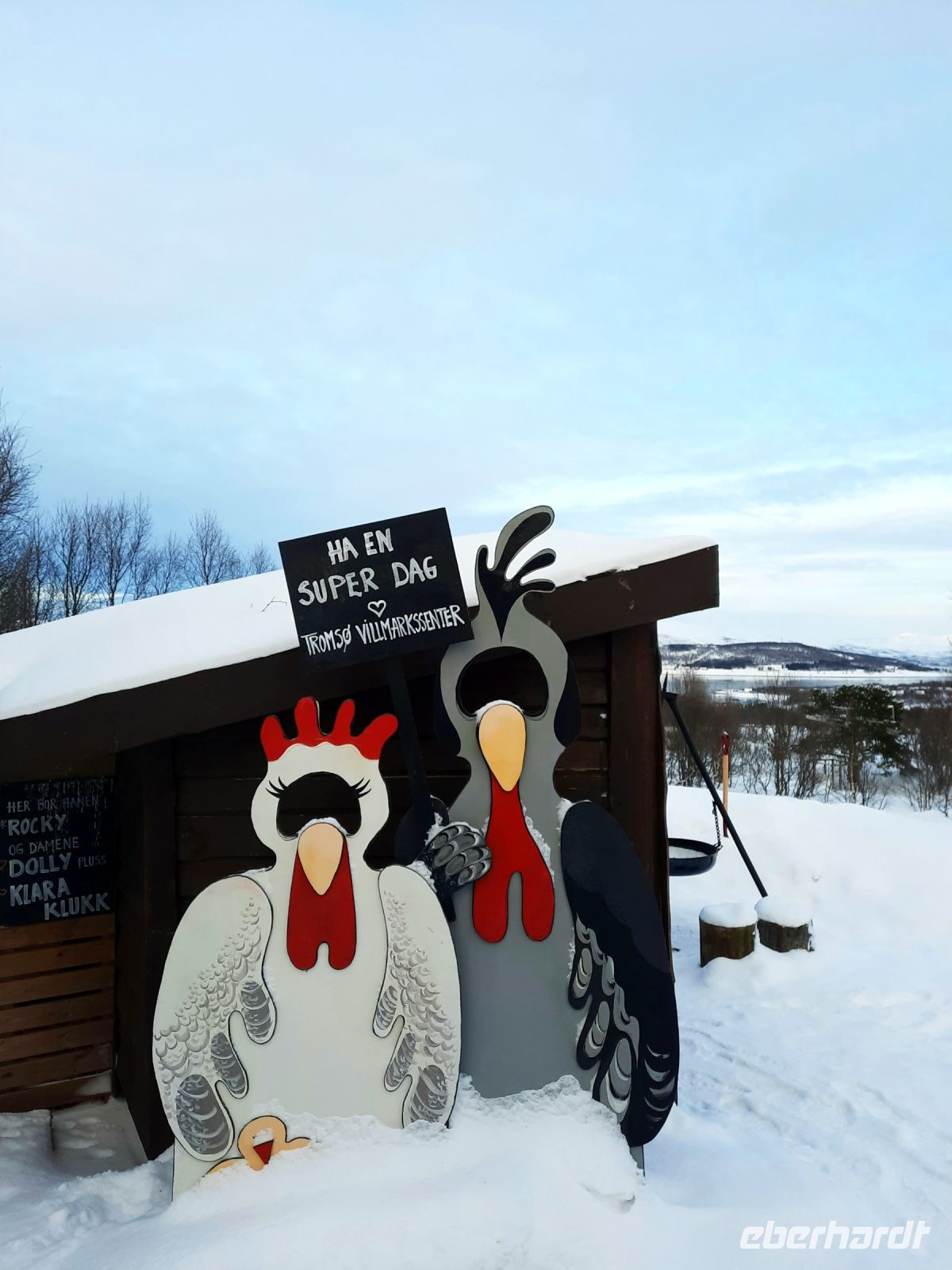 Norwegen - Tromso - ein super Tag auf der Husky Farm.jpg &ndash; &copy; Annett Müller (Eberhardt TRAVEL)