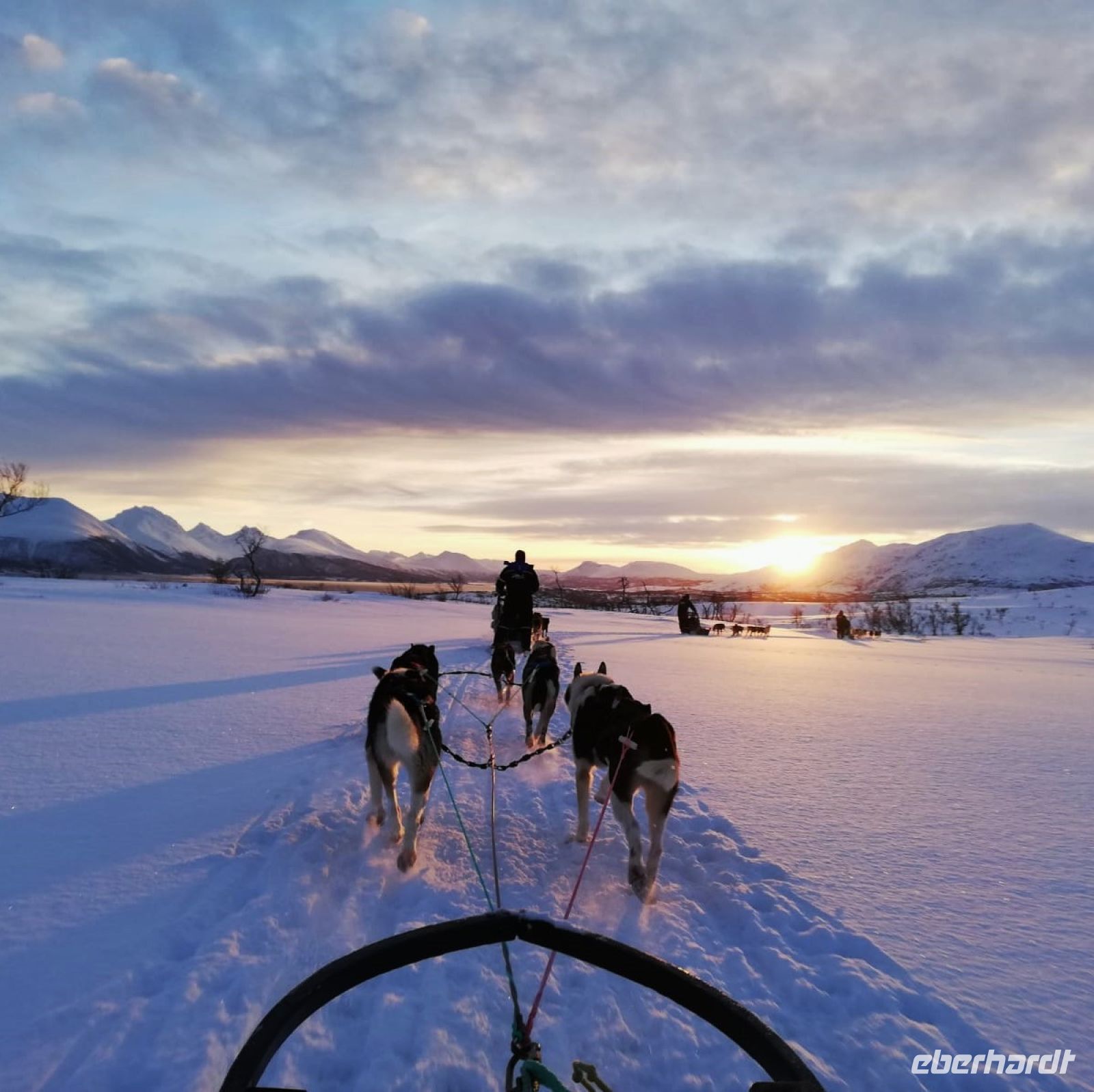 Norwegen - Tromso - Husky-Schlittenfahrt.jpg &ndash; &copy; Annett Müller (Eberhardt TRAVEL)