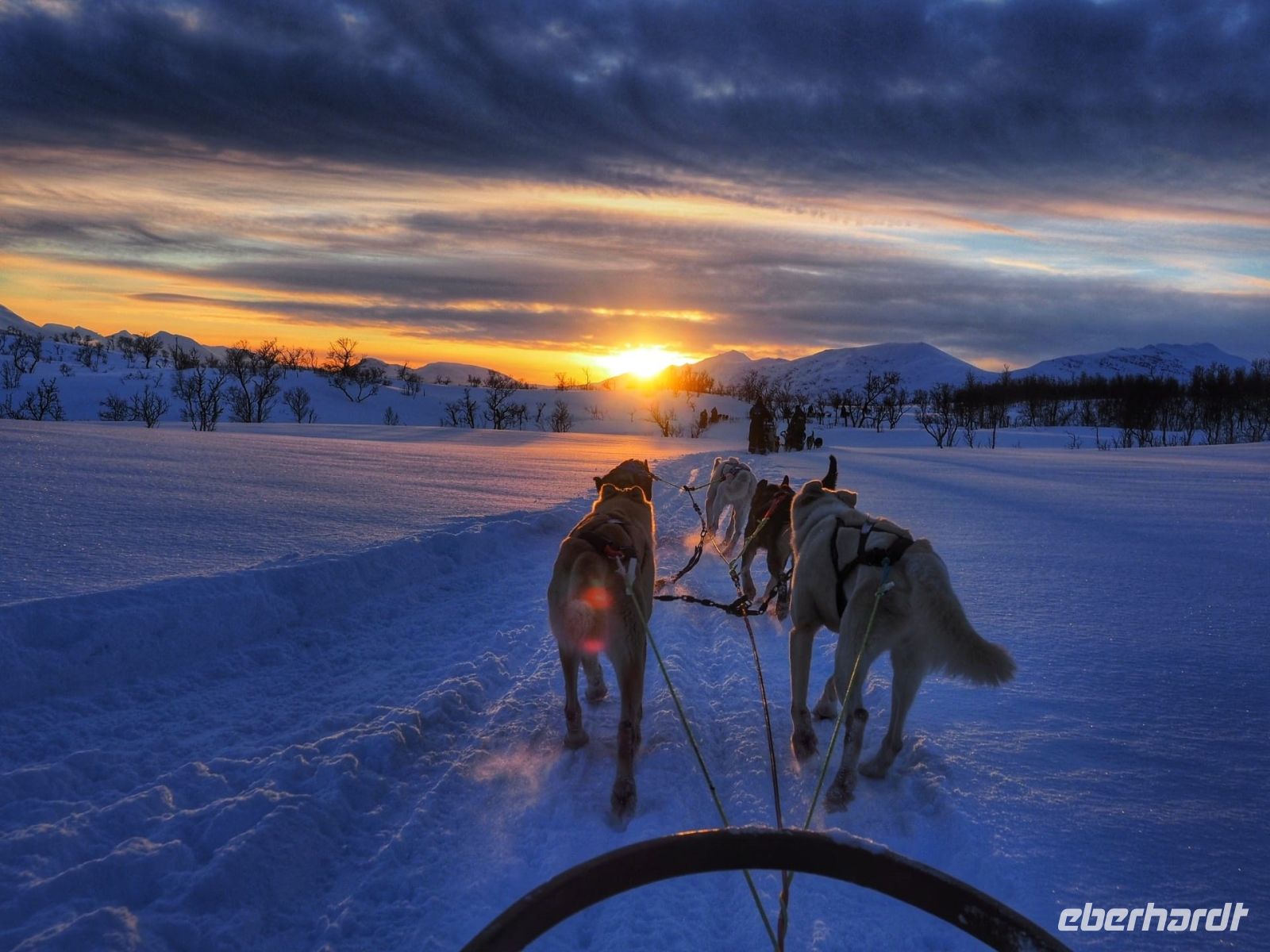 Norwegen - Tromso - Husky-Schlittenfahrt im Sonnenuntergang.jpg &ndash; &copy; Annett Müller (Eberhardt TRAVEL)