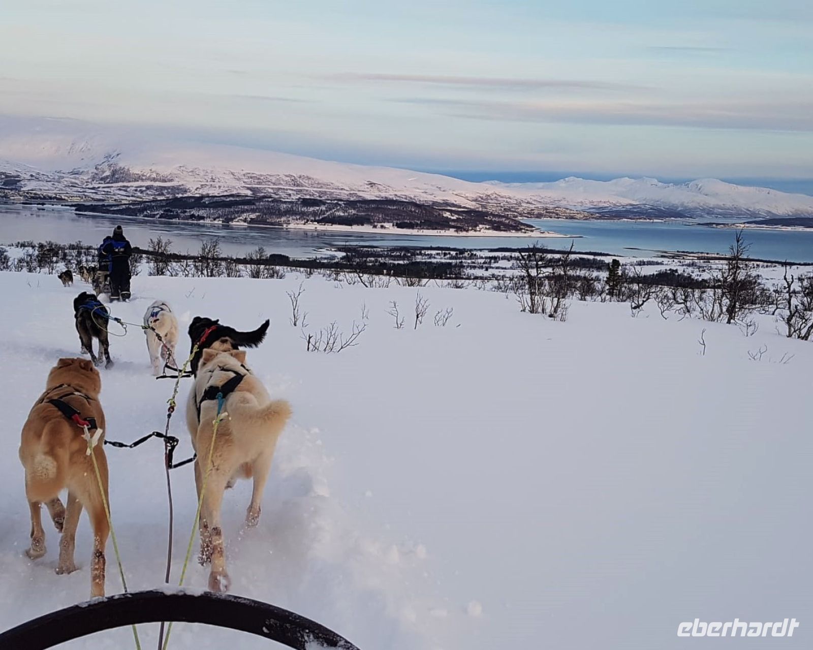 Norwegen - Husky-Schlittenfahrt mit Panorama.jpg &ndash; &copy; Annett Müller (Eberhardt TRAVEL)