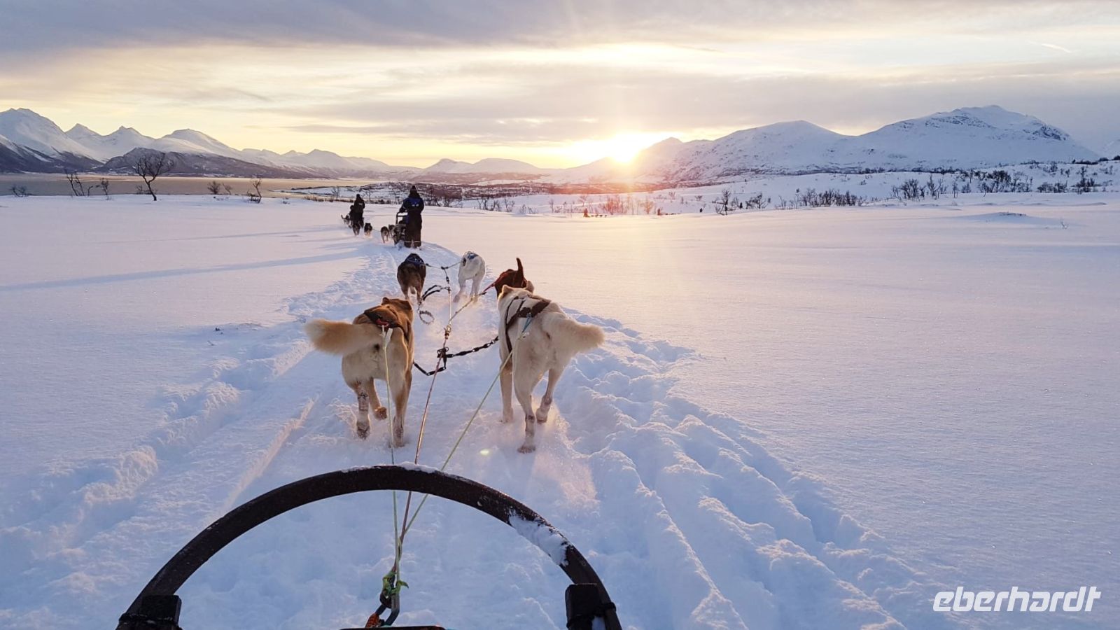 Norwegen - Husky-Schlittenfahrt.jpg &ndash; &copy; Annett Müller (Eberhardt TRAVEL)