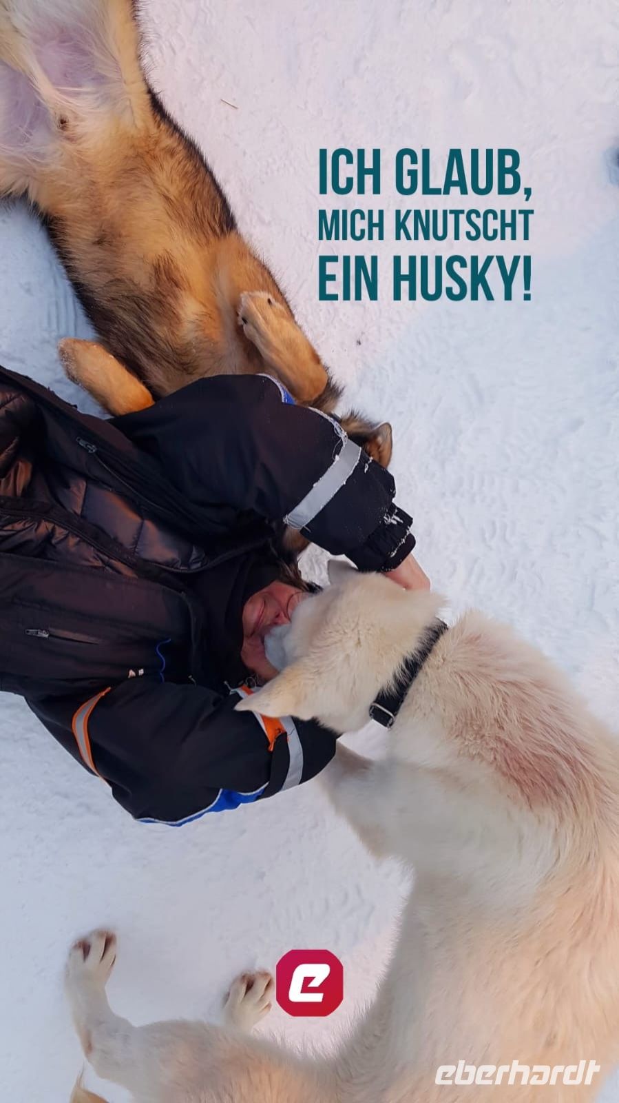 Norwegen - Tromso - Husky Farm - Liebe auf den ersten Blick.jpg &ndash; &copy; Annett Müller (Eberhardt TRAVEL)