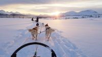 Norwegen - Husky-Schlittenfahrt.jpg &ndash; &copy; Annett Müller (Eberhardt TRAVEL)