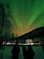 Norwegen - Tromso - Nordlichter.jpg &ndash; &copy; Annett Müller (Eberhardt TRAVEL)