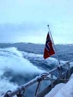 Norwegen - Tromso - Whale Watching mit dem Hybrid-Schiff Bard.jpg &ndash; &copy; Annett Müller (Eberhardt TRAVEL)